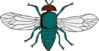 Blue Bottle Fly Clip Art